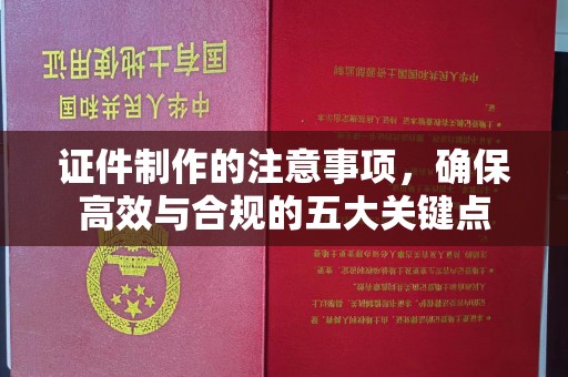 安宁证件制作的注意事项，确保高效与合规的五大关键点