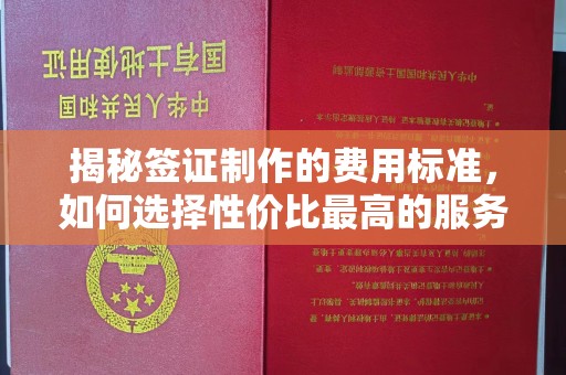 安宁揭秘签证制作的费用标准，如何选择性价比最高的服务？