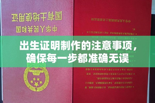 安宁出生证明制作的注意事项，确保每一步都准确无误
